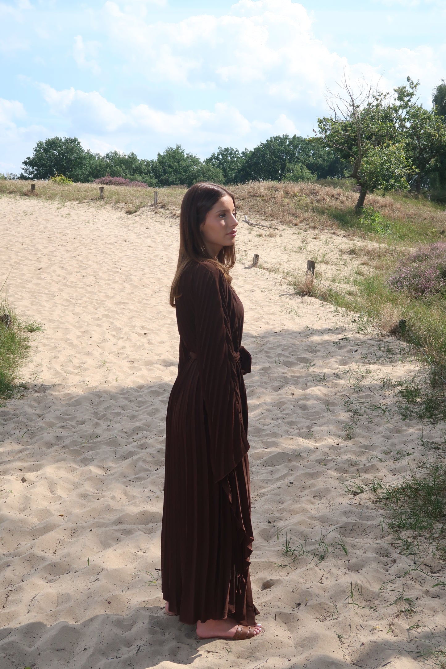 Plissiertes Maxikleid in Braun